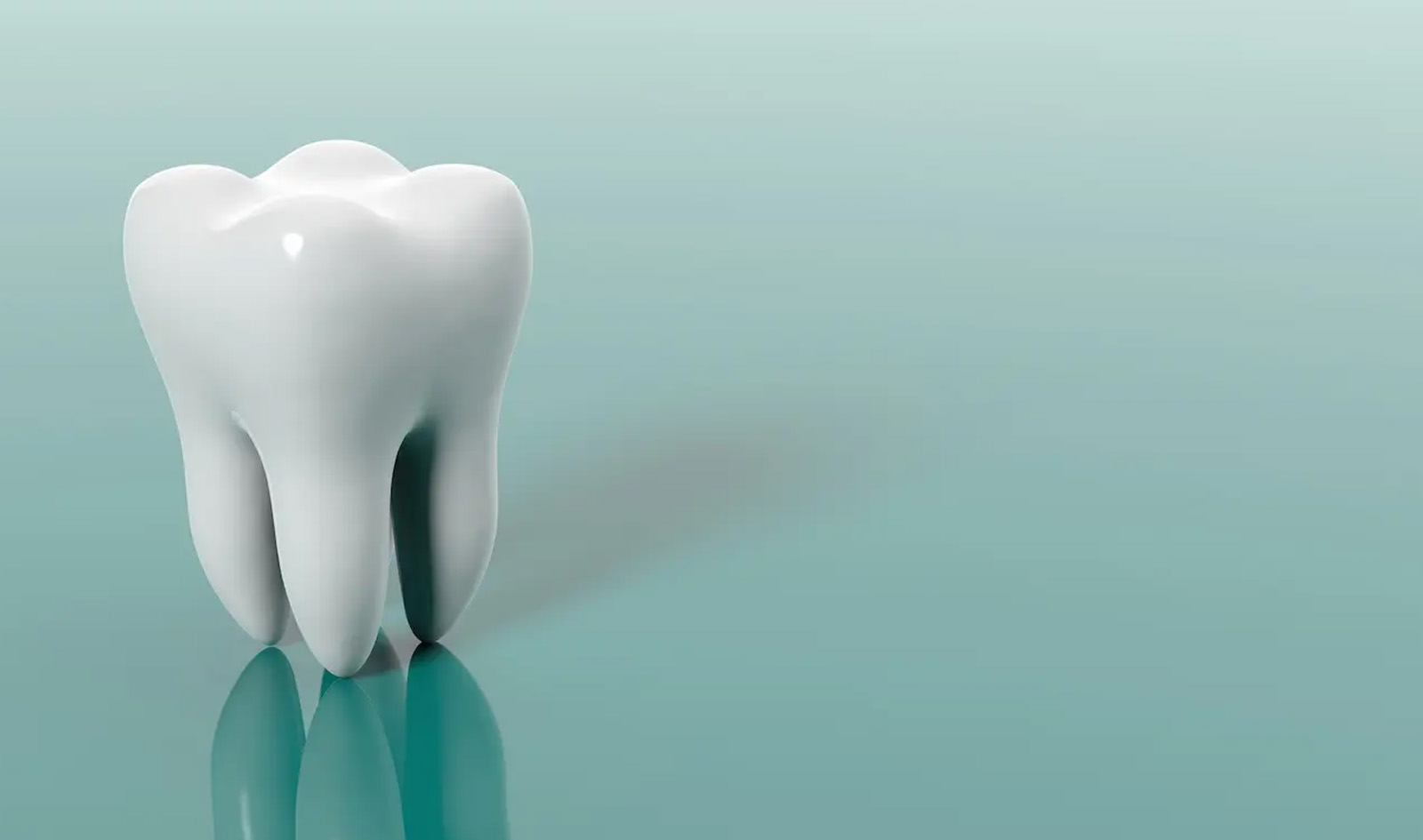 Featured image for “Dental Health Visit”